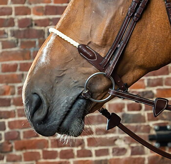 DYON ROPE NOSEBAND DY