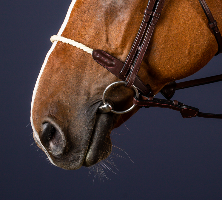 DYON ROPE NOSEBAND NE - 5