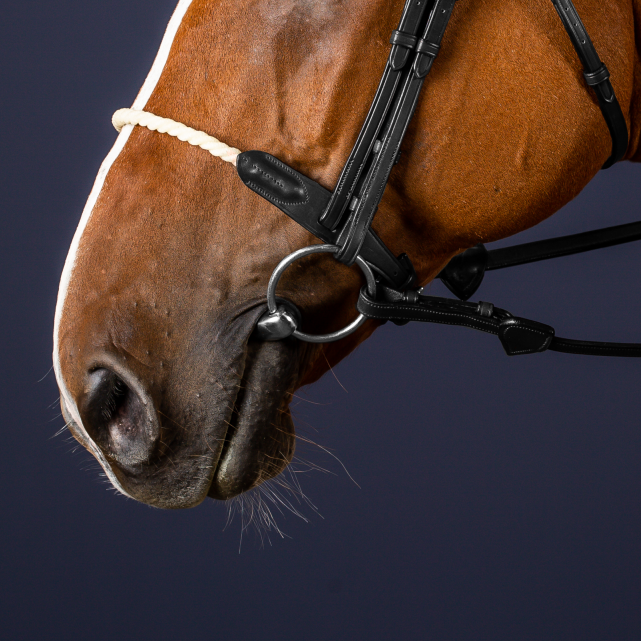 DYON ROPE NOSEBAND NE - 3