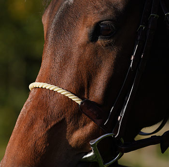 DYON ROPE NOSEBAND NE