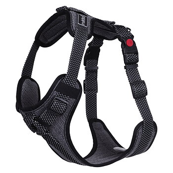 Rukka Pets Star Harness - Black