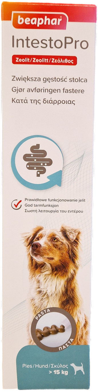 IntestoPro pasta hund >15kg, 40ml