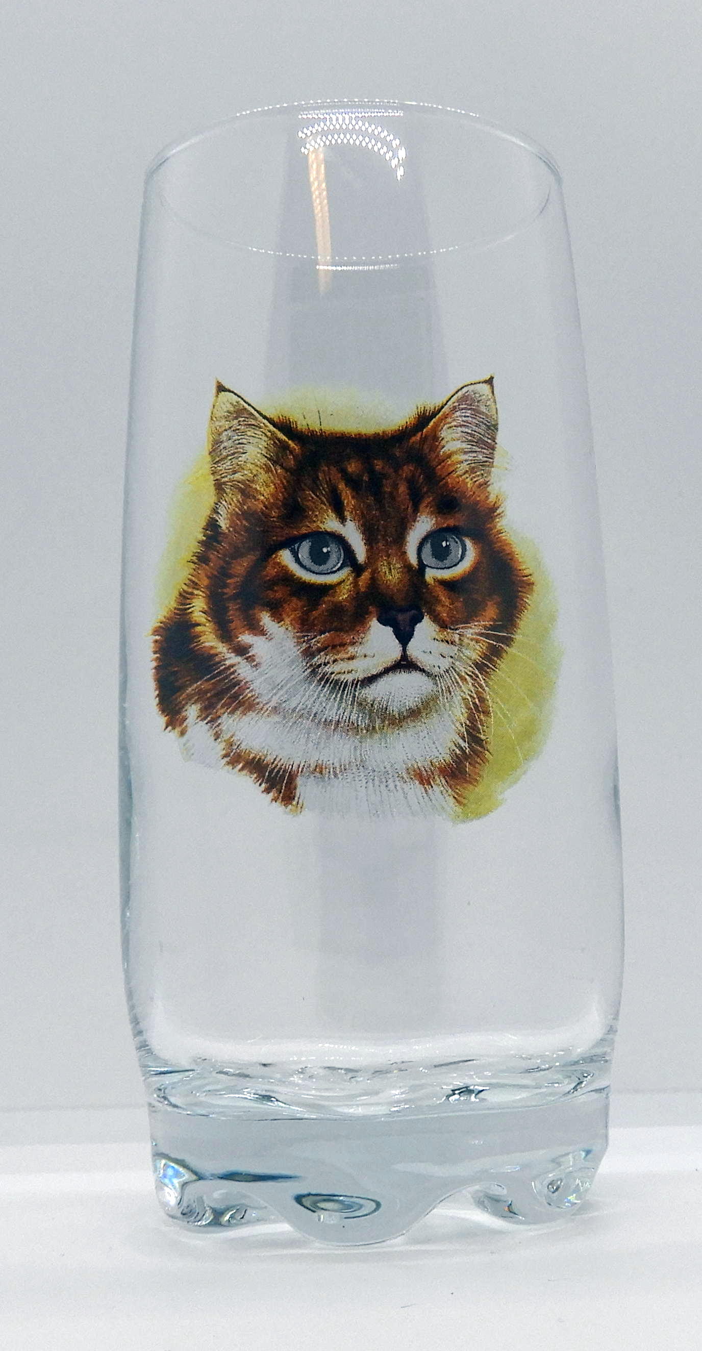 All glas 39 cl. Katt nr 2