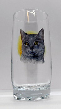 All glas 39 cl. Katt nr 4