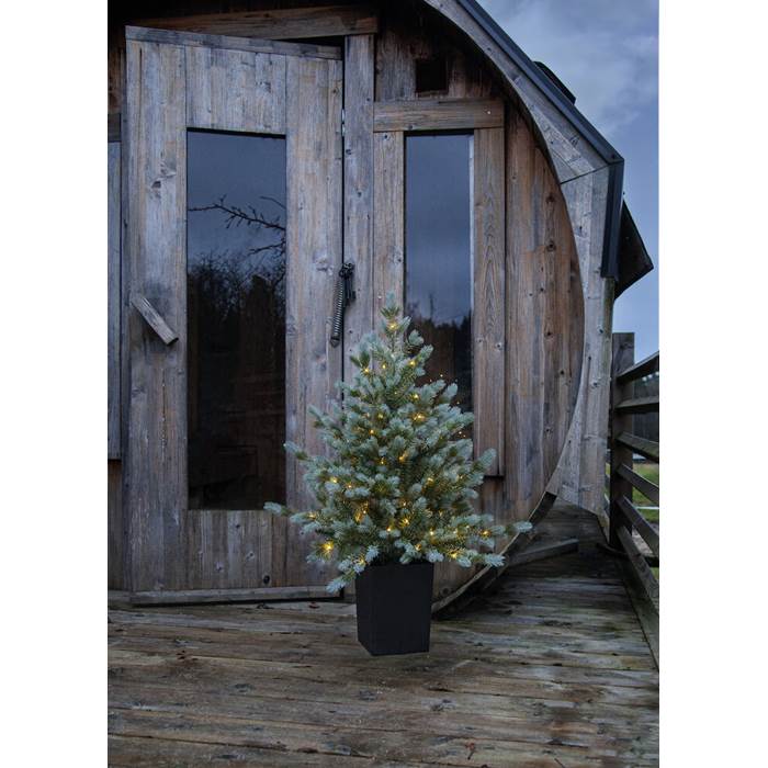 Julgran Greyland 90cm (kruka) - 4