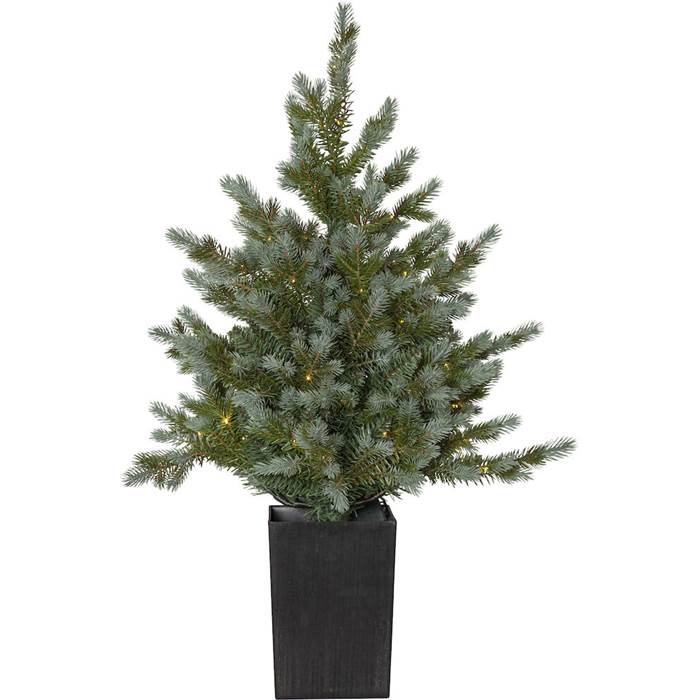 Julgran Greyland 90cm (kruka)