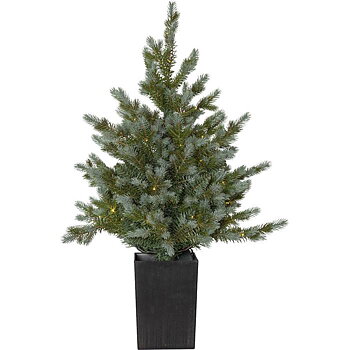 Julgran Greyland 90cm (kruka)