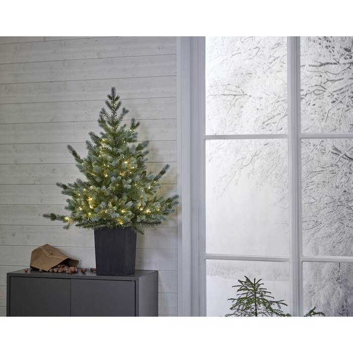 Julgran Greyland 90cm (kruka) - 2