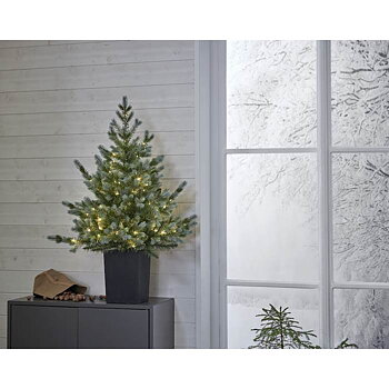 Julgran Greyland 90cm (kruka)