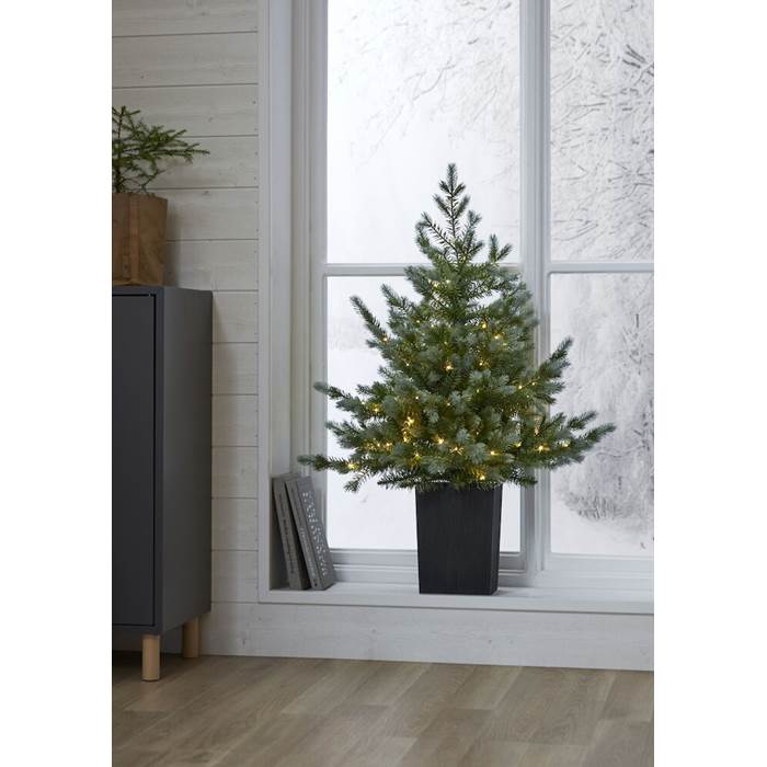 Julgran Greyland 90cm (kruka) - 5
