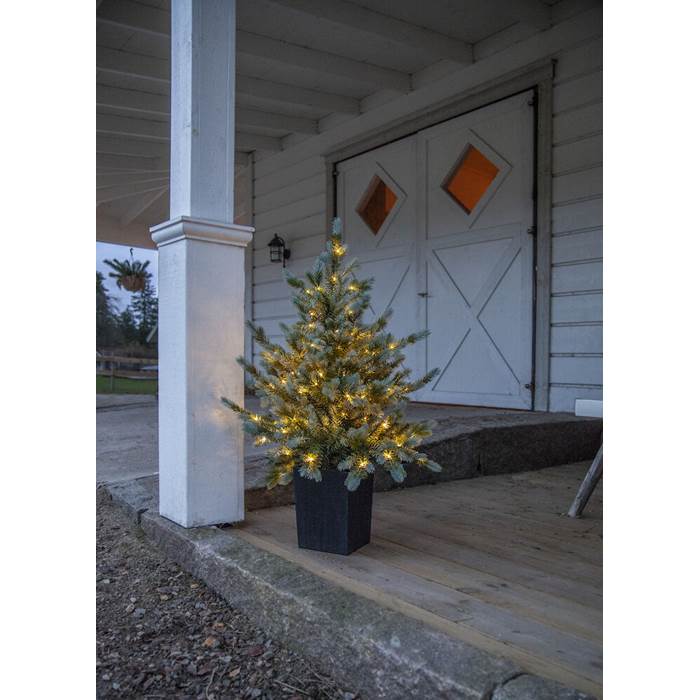Julgran Greyland 90cm (kruka) - 3