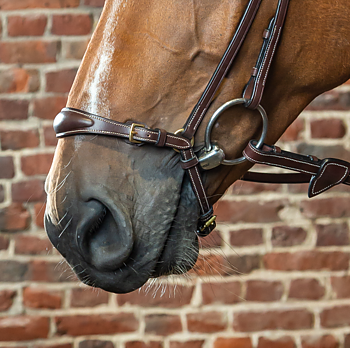 DYON DROP NOSEBAND DY