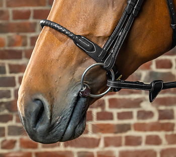 DYON LEATHER COVERED ROPE NOSEBAND DY