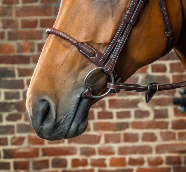 DYON LEATHER COVERED ROPE NOSEBAND DY - 3