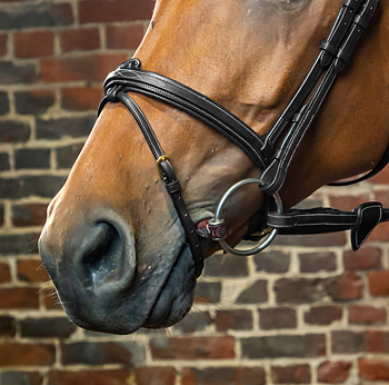 DYON FLASH NOSEBAND DY