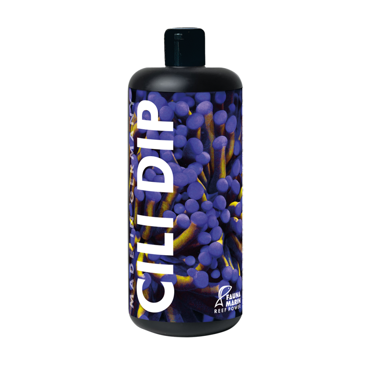 Fauna marin Cili Dip