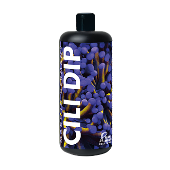 Fauna marin Cili Dip