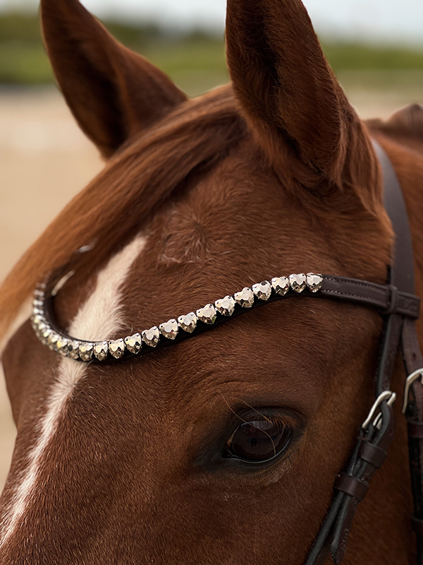 Browband horse hearts