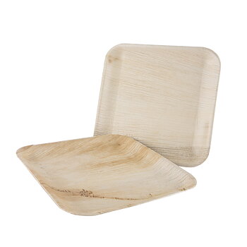 Palm Tallrik 240x240   25st