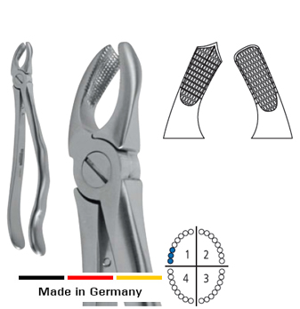 Schwert® Extracting Forceps, no.17 Upper Molar Right
