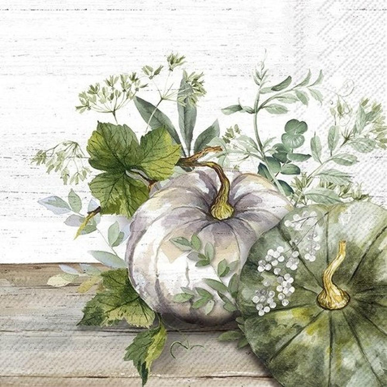 IHR Servett Green And White Pumpkin Cream - Lunch