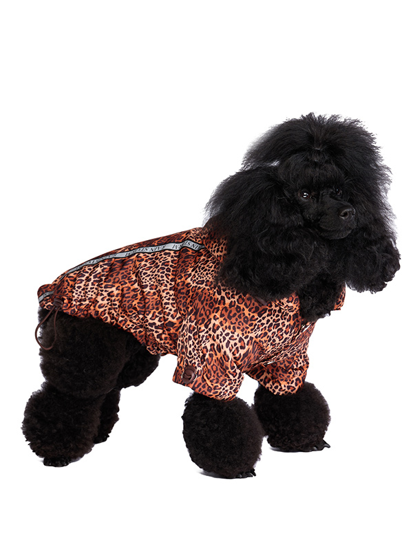Urban Pup Cheetah Print Rainstorm Regnjacka Brun Leopard  - 2
