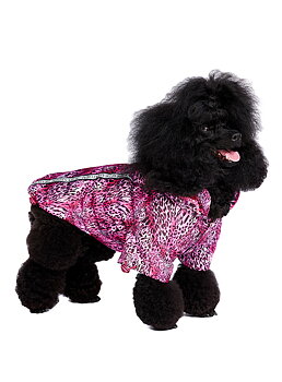 Urban Pup Pink Leopard Print Rainstorm Regnjacka Rosa