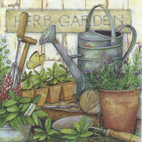 Herb Garden
