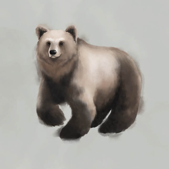 Card, the Bear - Kunskapstavlan
