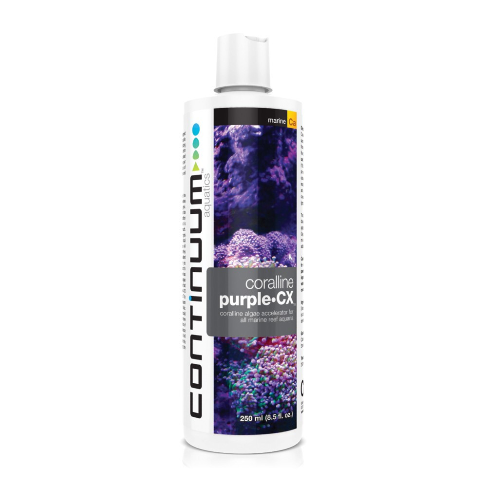 Brightwell Coralline PurpleCX
