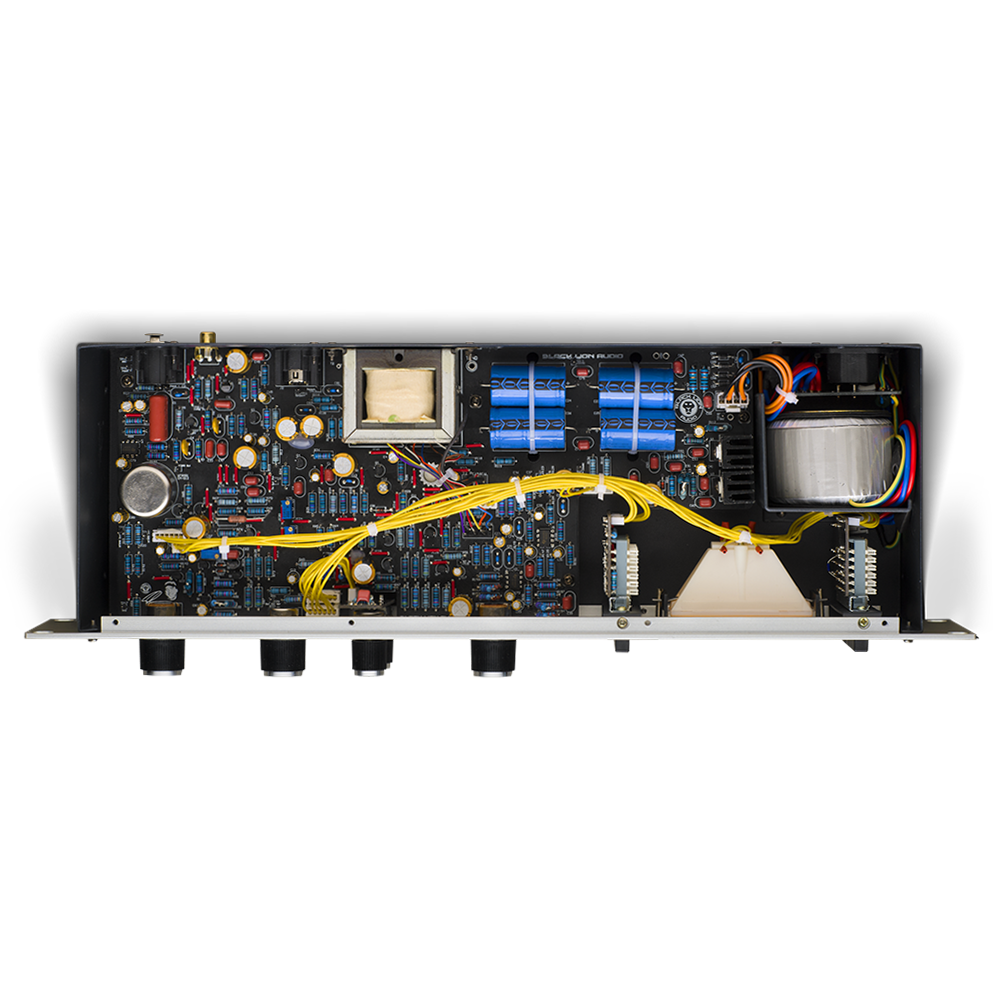 Black Lion Audio Bluey - 2