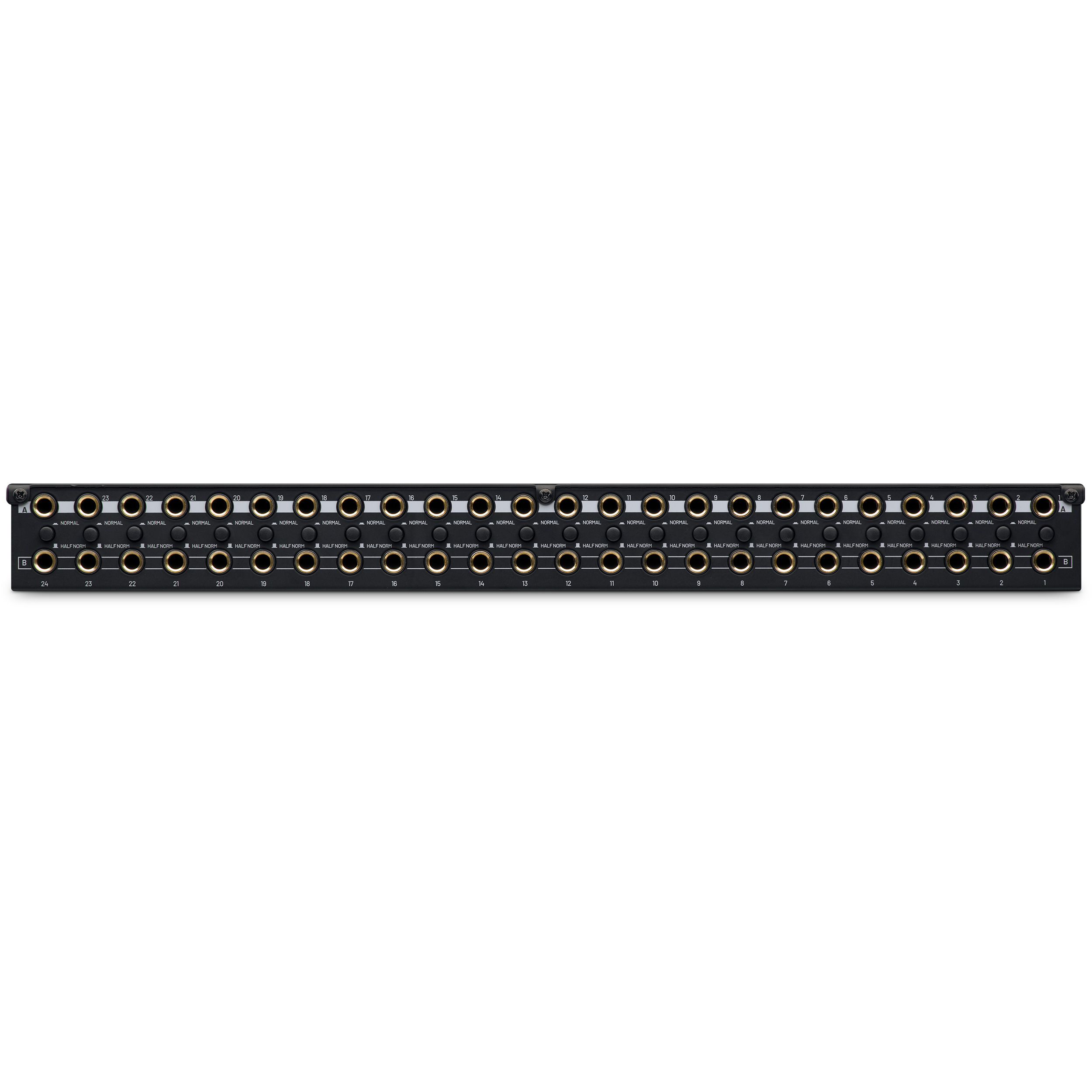 Black Lion Audio PBR TRS - 2