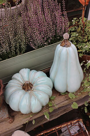 Pumpa, turkos