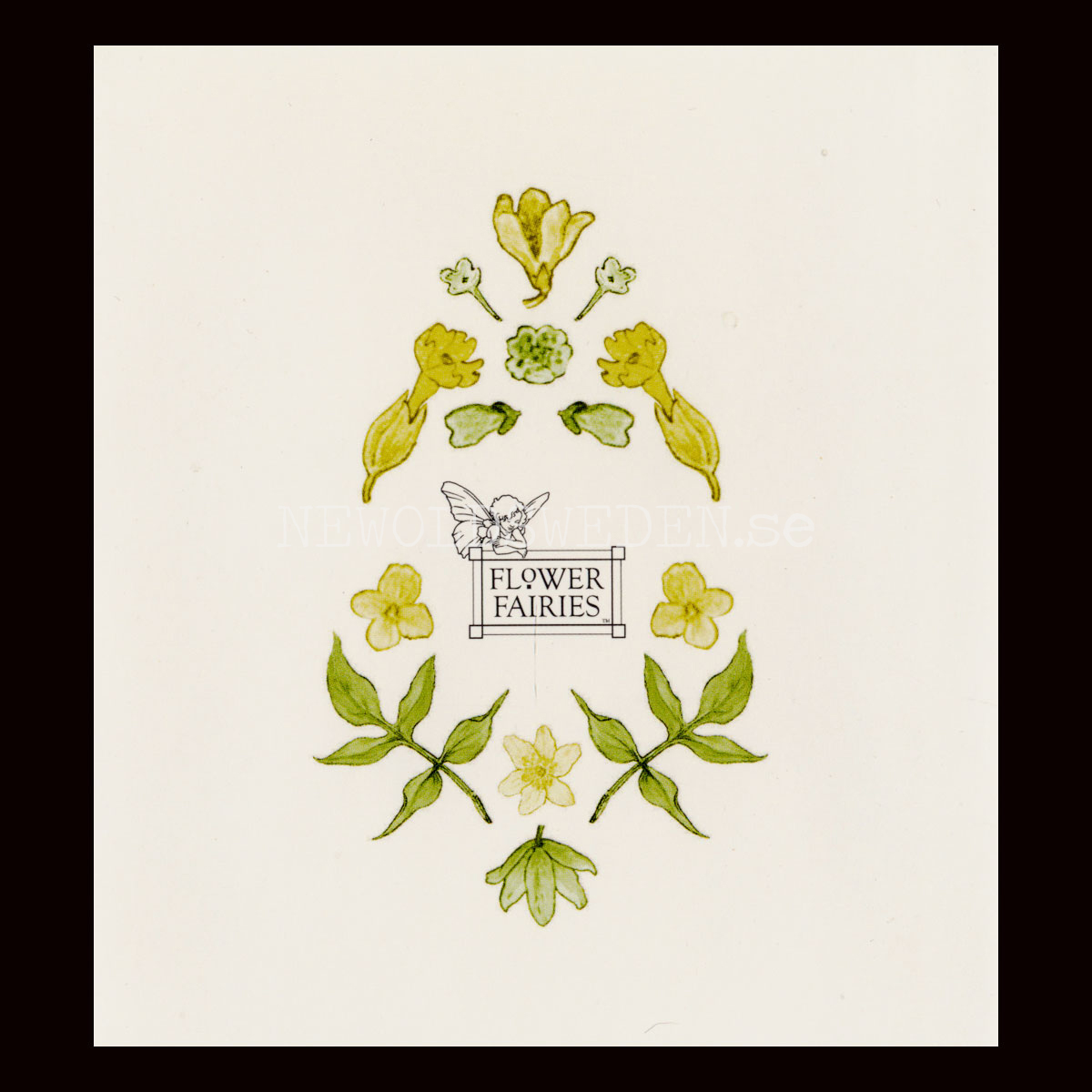 FLOWER FAIRIES OF THE SPRING - CICELY MARY BARKER - H03 - 2