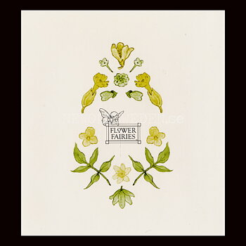 FLOWER FAIRIES OF THE SPRING - CICELY MARY BARKER - H03