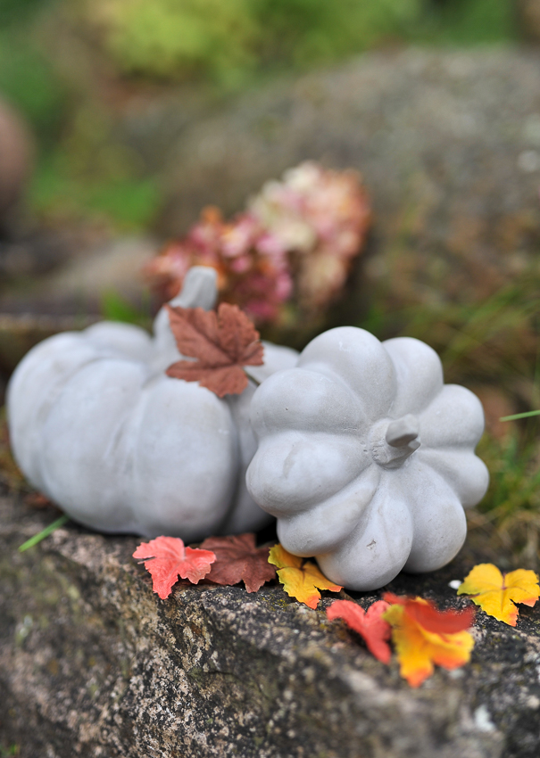 Pumpa - Grå - Cement/Betong - 16x13 cm - 3