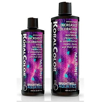 Brightwell Koral Color