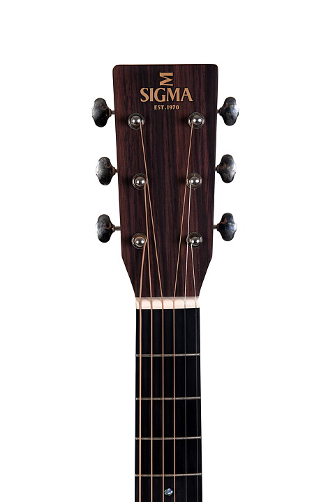 Sigma DM-18 med Softshell Case
