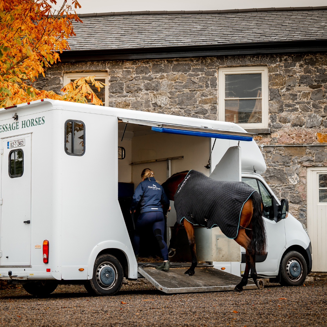 HORSEWARE AUTUMN COOLER UTGÅENDE - 4