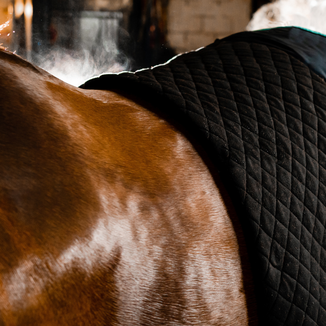 HORSEWARE AUTUMN COOLER UTGÅENDE - 6
