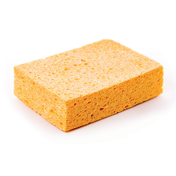 Cellulosasvamp small 