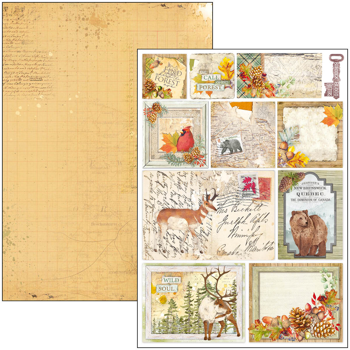 Ciao Bella - INTO THE WILD - Paper Pad A4 9 dubbelsidiga ark - 5