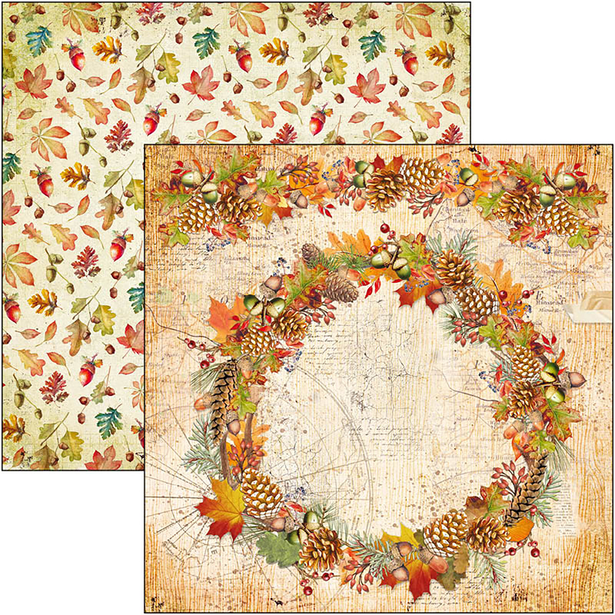 Ciao Bella - INTO THE WILD - PATTERNS PAD 12"X12"  - 8 olika dubbelsidiga ark - 6