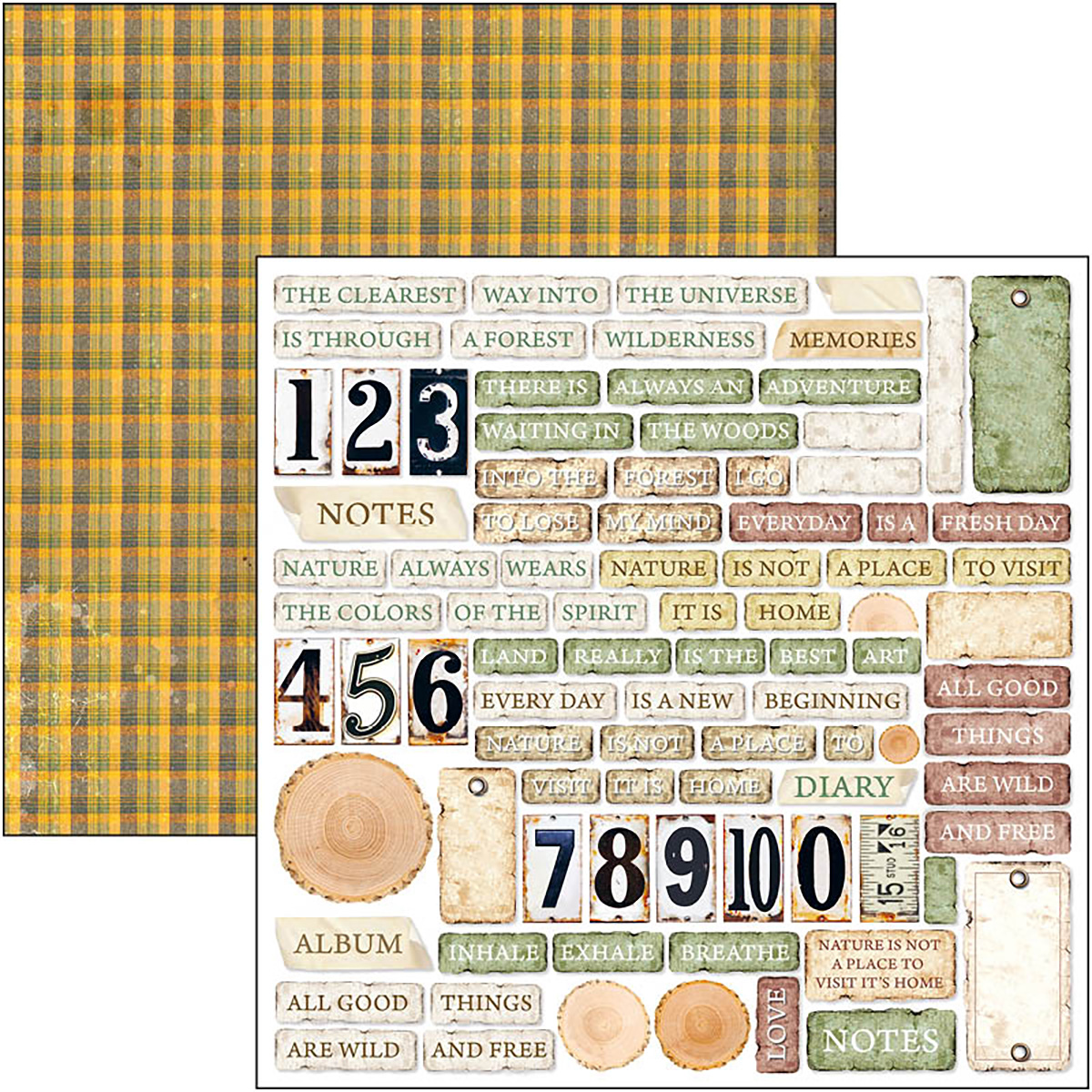Ciao Bella - INTO THE WILD - PATTERNS PAD 12"X12"  - 8 olika dubbelsidiga ark - 5