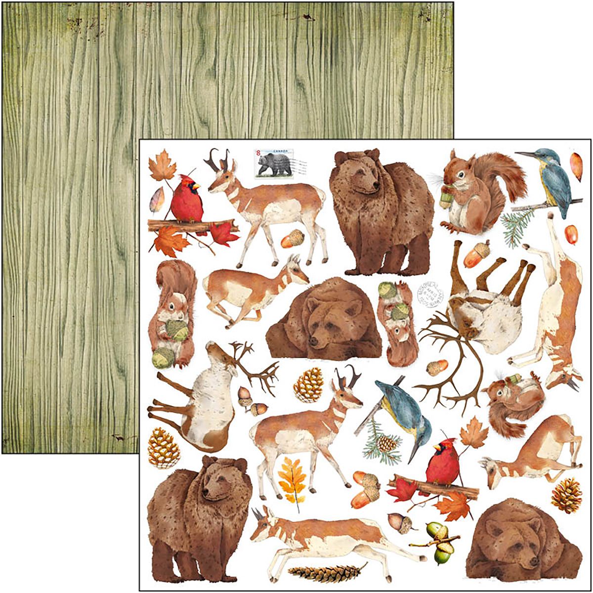 Ciao Bella - INTO THE WILD - PATTERNS PAD 12"X12"  - 8 olika dubbelsidiga ark - 3