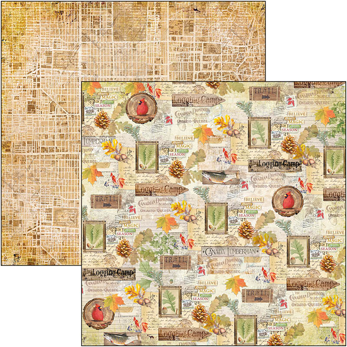 Ciao Bella - INTO THE WILD - PATTERNS PAD 12"X12"  - 8 olika dubbelsidiga ark - 8