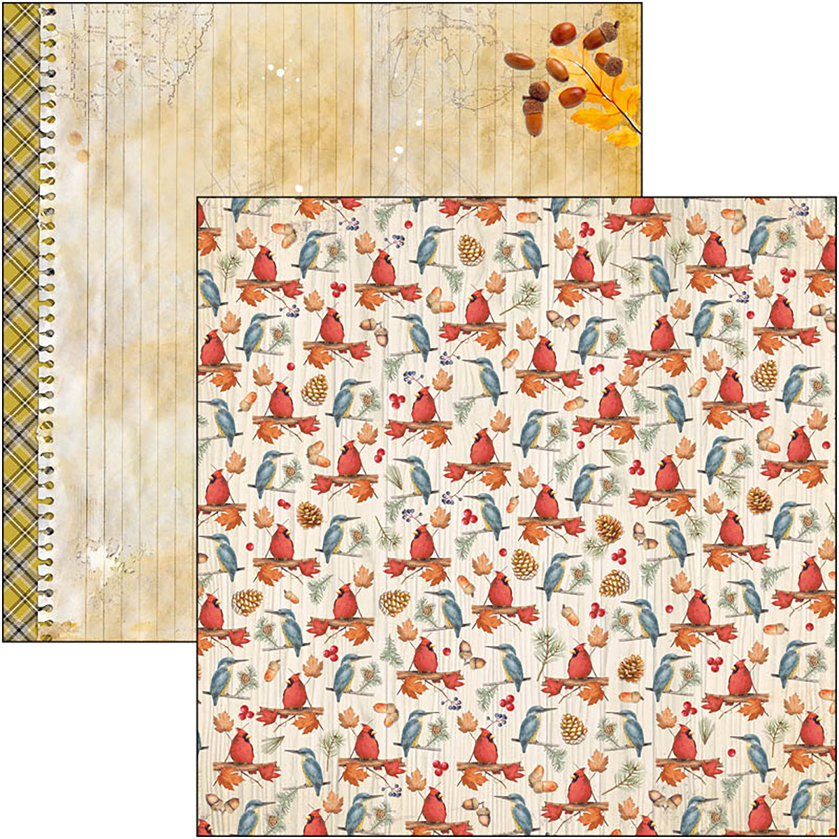 Ciao Bella - INTO THE WILD - PATTERNS PAD 12"X12"  - 8 olika dubbelsidiga ark - 7
