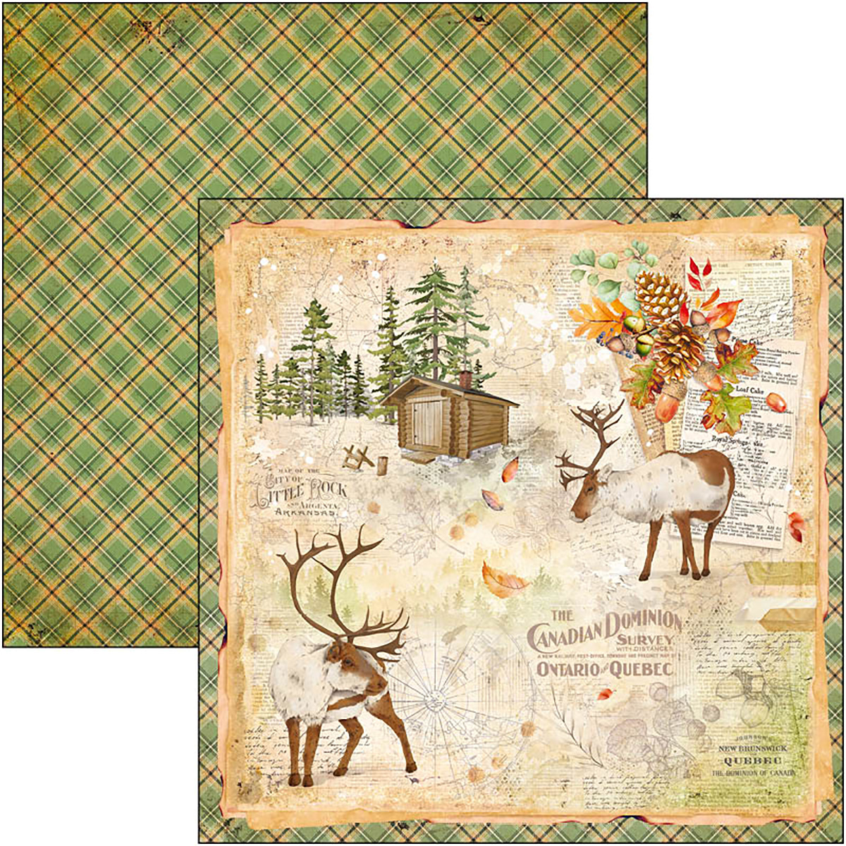 Ciao Bella - INTO THE WILD - PAPER PAD 12"X12" - 12 olika dubbelsidiga ark - 11