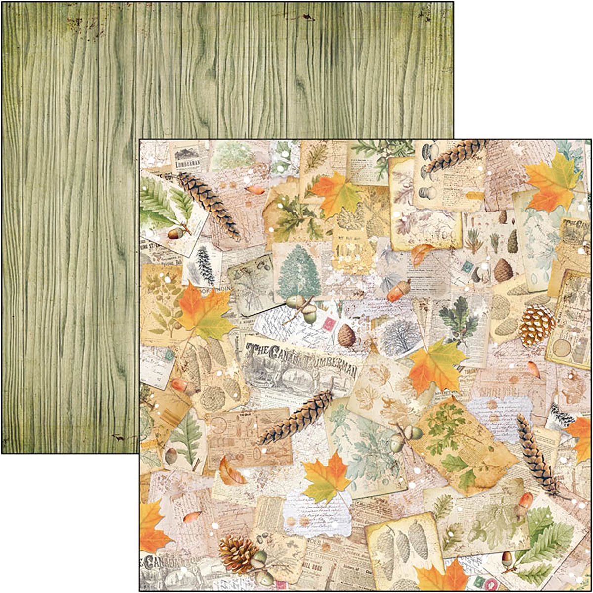 Ciao Bella - INTO THE WILD - PAPER PAD 12"X12" - 12 olika dubbelsidiga ark - 8