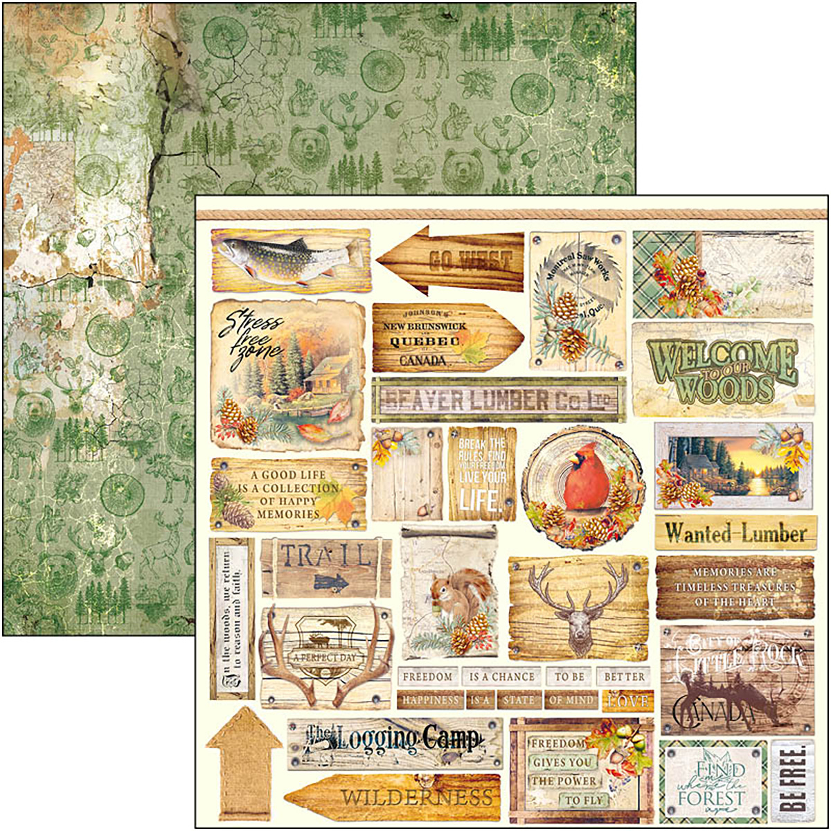 Ciao Bella - INTO THE WILD - PAPER PAD 12"X12" - 12 olika dubbelsidiga ark - 6